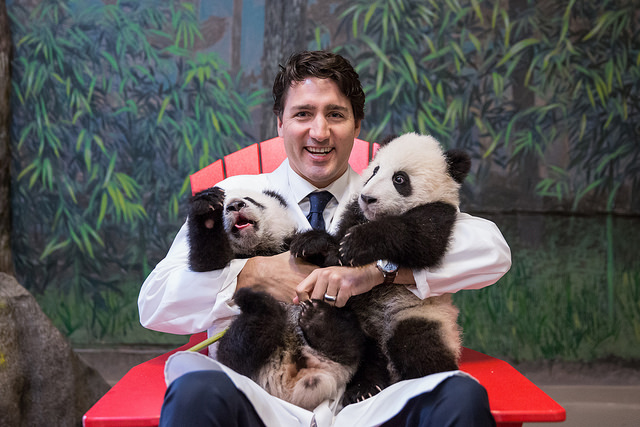 Джастин Трюдо с пандами фото
