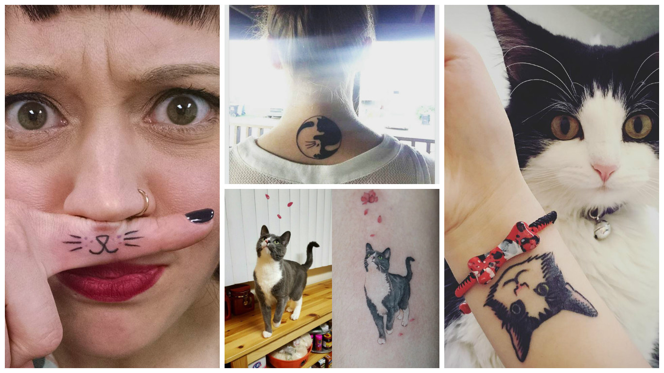 Татуировка в честь кота