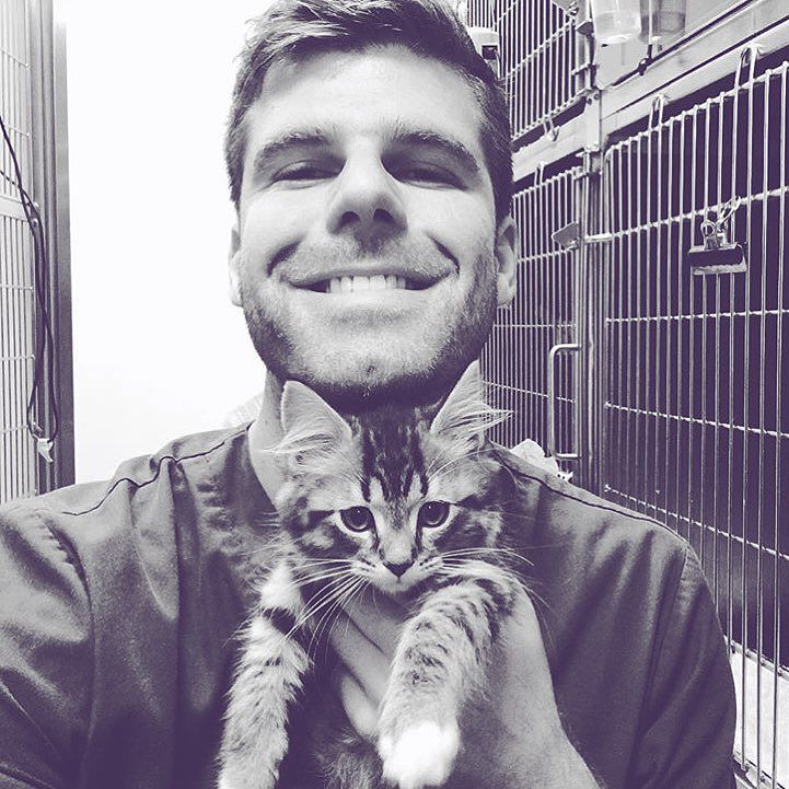 Instagram недели: “горячие мужчины с котиками” - аккаунт, который разбивает сердца