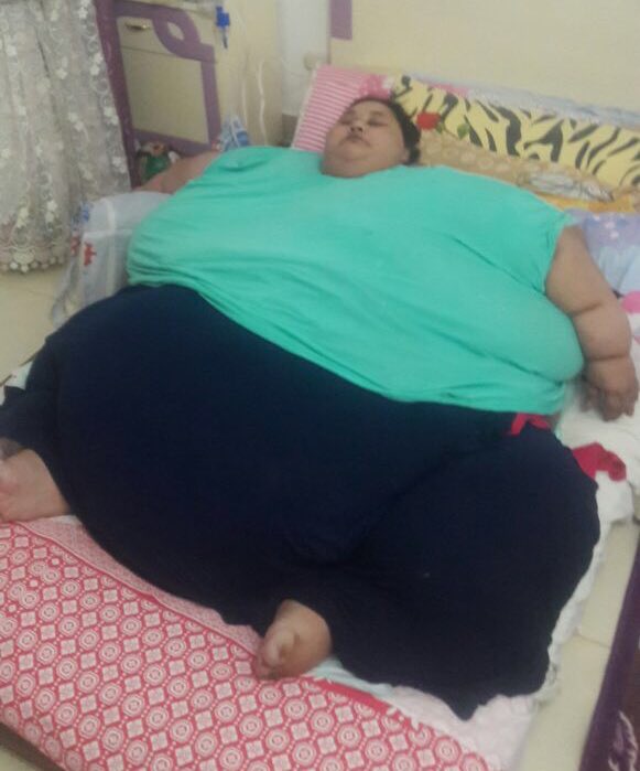 Не для слабонервных: в Индии помогут избавиться от лишнего веса 500-килограммовой египтянке самая толстая женщина, самая толстая женщина фото, толстая женщина, толстая женщина фото, Эман Ахмед Аб Эль Ати