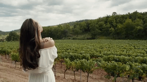 В сети появился рекламный ролик Guerlain с участием Анджелины Джоли Анджлина Джоли guerlian