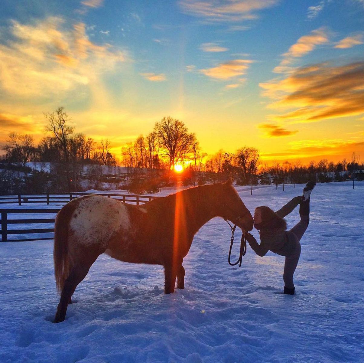 Только не ржать: американка занимается йогой верхом на лошади